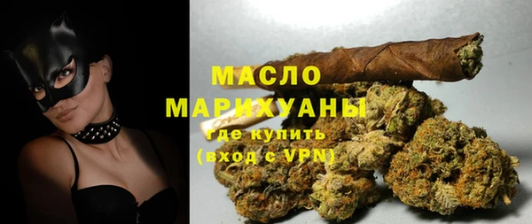 амф Ельня