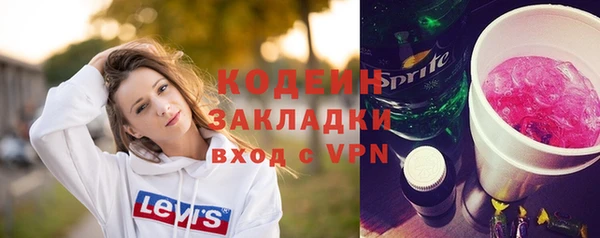амф Ельня