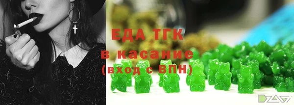 амф Ельня