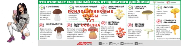 амф Ельня
