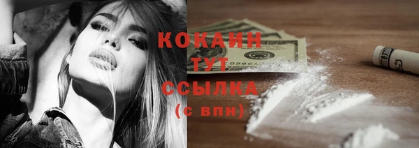 хмурый Дмитриев