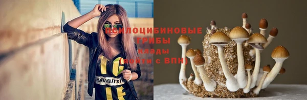 тгк Елизово