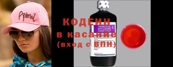 амф Ельня