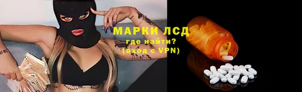 амф Ельня