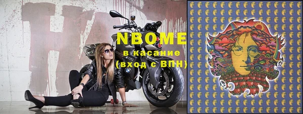амф Ельня