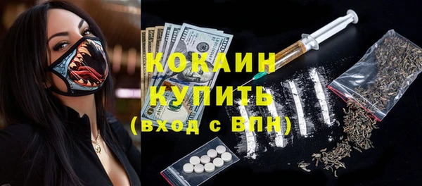 тгк Елизово