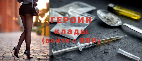 амф Ельня
